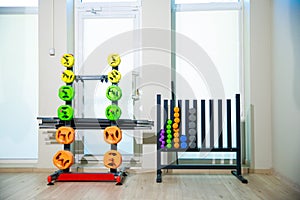 stand for barbell discs and dumbbells for the gym.