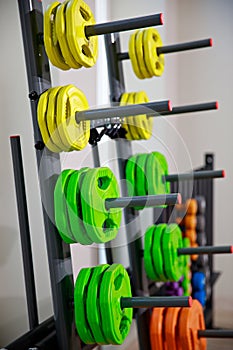 stand for barbell discs and dumbbells for the gym.