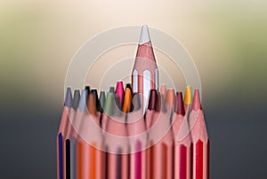 Stand out from the Crowd. Color pencils macro