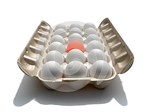 Stand out - eggstraordinary egg