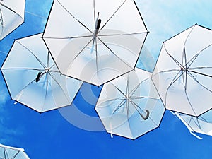 Stand out umbrellas