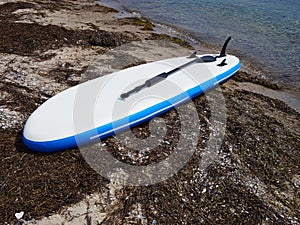 Stand up paddle board for sea sports activity