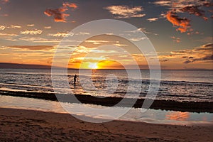 Stand up paddler at a beach, at sunset, on Maui.