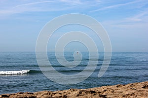 Stand up Paddler at Forte dei Marmi