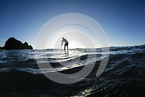 Stand Up Paddler Silhouette