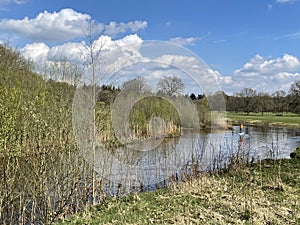 Stand up peddle on the Beneden Regge river