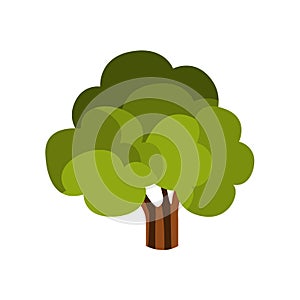 Standalone Large Tree With Green Crown, Camping And Hiking Outdoor Tourism Related Item Isolated Vector Illustration