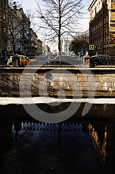 Standalone tree near river