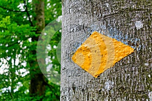 Standard Swiss hiking trail marker on a tree