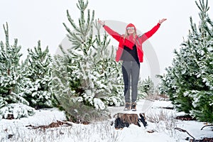 Standiing among the snow covered pine tree forests