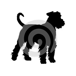 Standing Airedale Terrier Silhouette Side View Preview Isolated On White Background