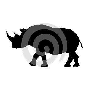 Standing Black Rhinoceros, Diceros Bicornis, Silhouette, Eastern Africa And South Africa