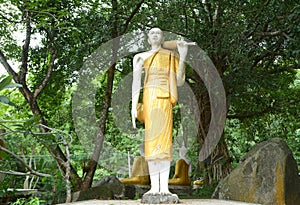 Standing budda statue