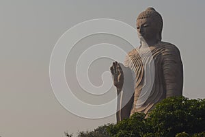 Standing Buddha