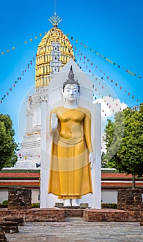 Standing Buddha Image