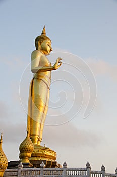 Standing Buddha image.The attitude of persuading the relatives