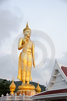 Standing Buddha image.The attitude of persuading the relatives n