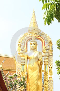 Standing Buddha stature