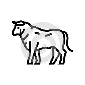 standing bul animal line icon vector illustration