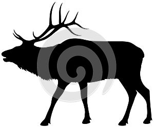 Standing Bull Elk Profile Silhouette