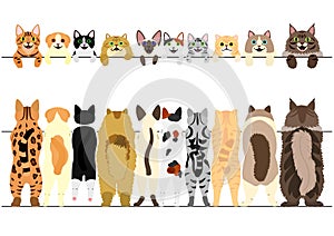 Standing cats front and back border set