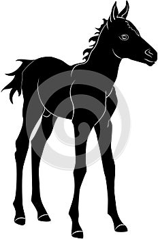 Standing Colt Silhouette