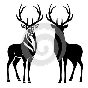 Standing deer buck with big antlers black vector outline and silhouette