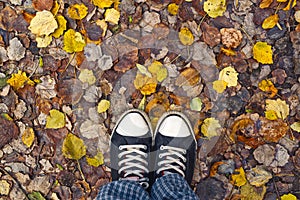 Standing in dry autumn leaves