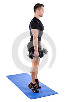 Standing Dumbbell Calf Raise with Dumbbels workout