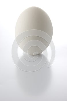 Standing egg