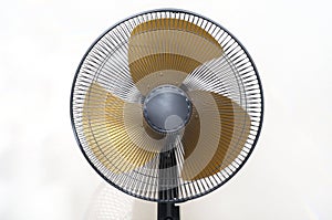 Standing Fan