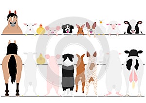 Standing farm animals front and back border set