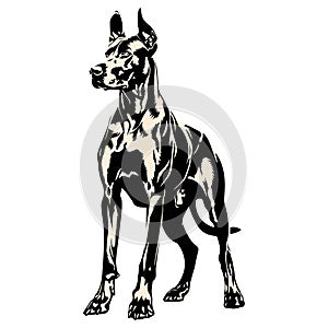 Standing Guard Dog Silhouette â Alert Protective Canine Vector Illustration