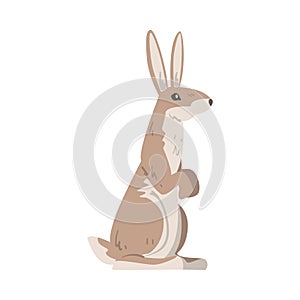 Standing on Hind Legs Hare or Jackrabbit as Swift Animal with Long Ears and Grayish Brown Coat Vector Illustration