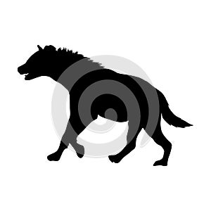 Standing Hyena Silhouette Crocuta Crocuta On a Side View Silhouette Found In Map Of African, Middle Eastern And Asian. Good To U