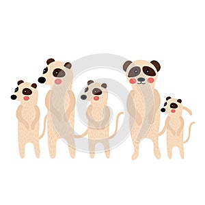 Standing Meerkat family group animal cartoon character vector illustration