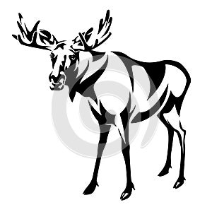 Standing moose black and white vector design