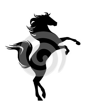 Rearing up mustang horse black vector silhouette