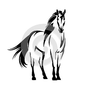 Standing mustang horse black and white vector outline portrait