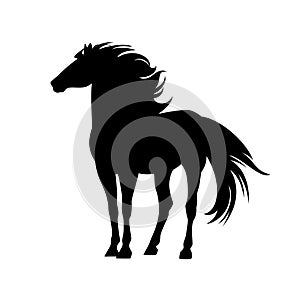 Standing mustang horse black and white vector silhouette outline portrait