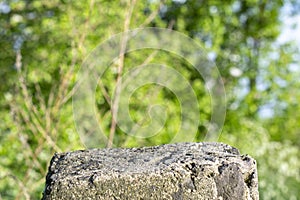 Standing old gray concrete pillar with planar surface on the top as a stage for something and blurred green grass background photo