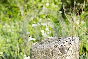 Standing old gray concrete pillar with planar surface on the top as a stage for something and blurred green grass background