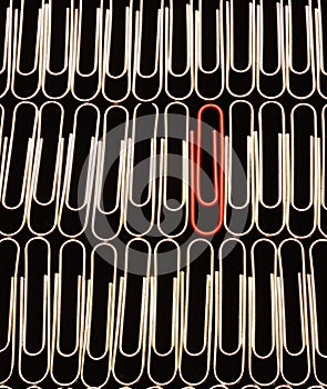 Standing out of the Crowd