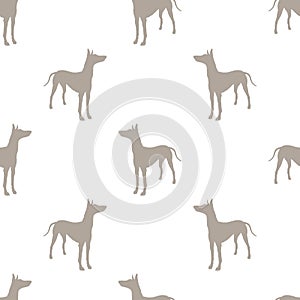 Standing pharaoh hound isolated on white background. Seamless pattern. Dog silhouette. Endless texture. Design for
