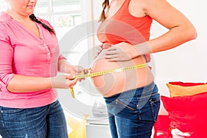 Standing pregnant women and midwife measuring circumference of b photo