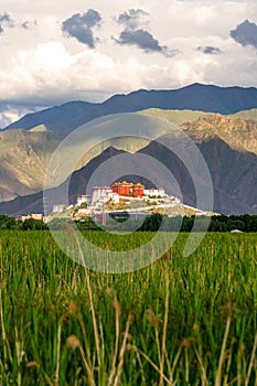 The Potala Palace, the holy place of Tibetan Buddhism photo