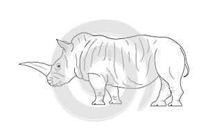 Standing Rhinoceros Isolated in Cartoon Style