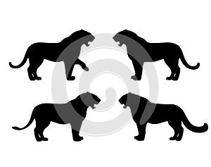 Standing and roaring tiger, lioness and snow leopard black vector silhouette set