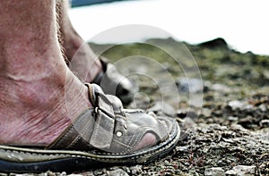 Standing on rocky ground, weary and worn. photo