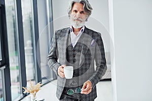 Standing in the room. Senior stylish modern man with grey hair and beard indoors